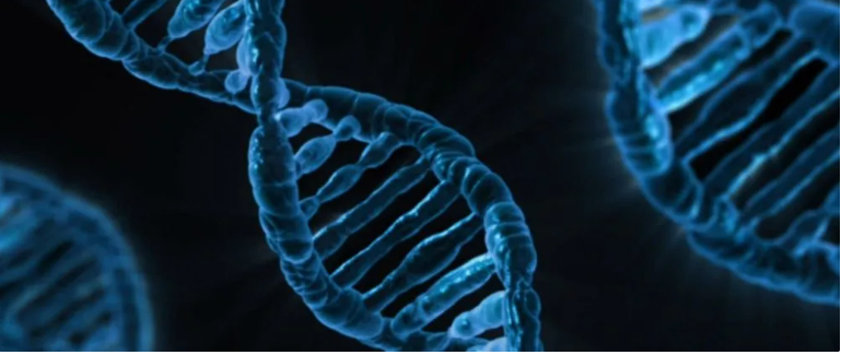  DNA 数据存储规范发布，为后续商业化铺平道路